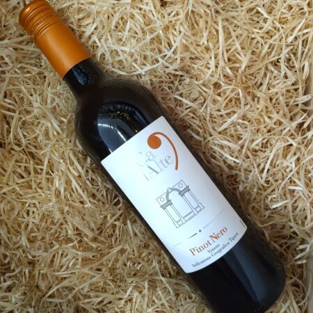 Ca di Alte Pinot Nero 2024