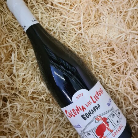 Altos Las Hormigas Colonia Las Liebres Bonarda 2023