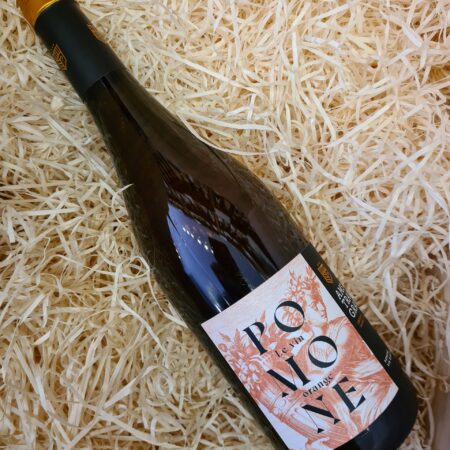 Ams Tram Gram Pomone Orange 2024