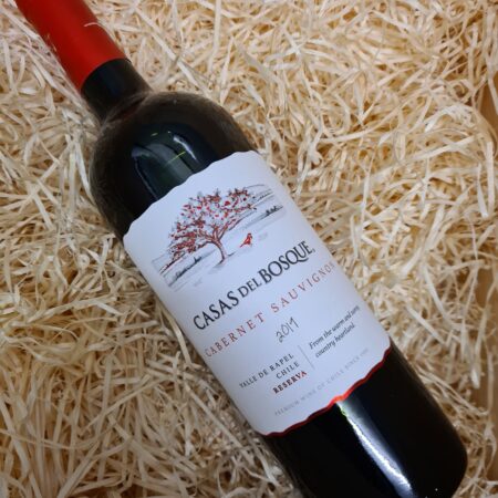 Casas del Bosque Cabernet 2023