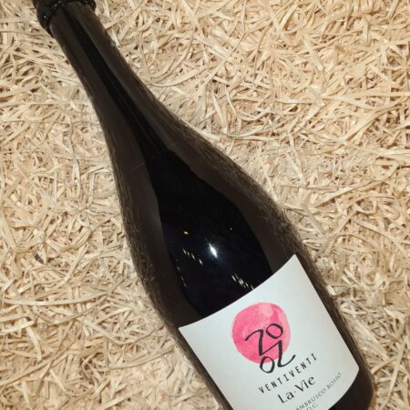 Ventiventi Modena Lambrusco Rosso 2024