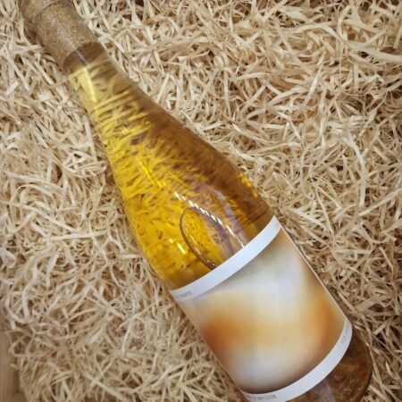 Regard d`Artiste Orange 2024